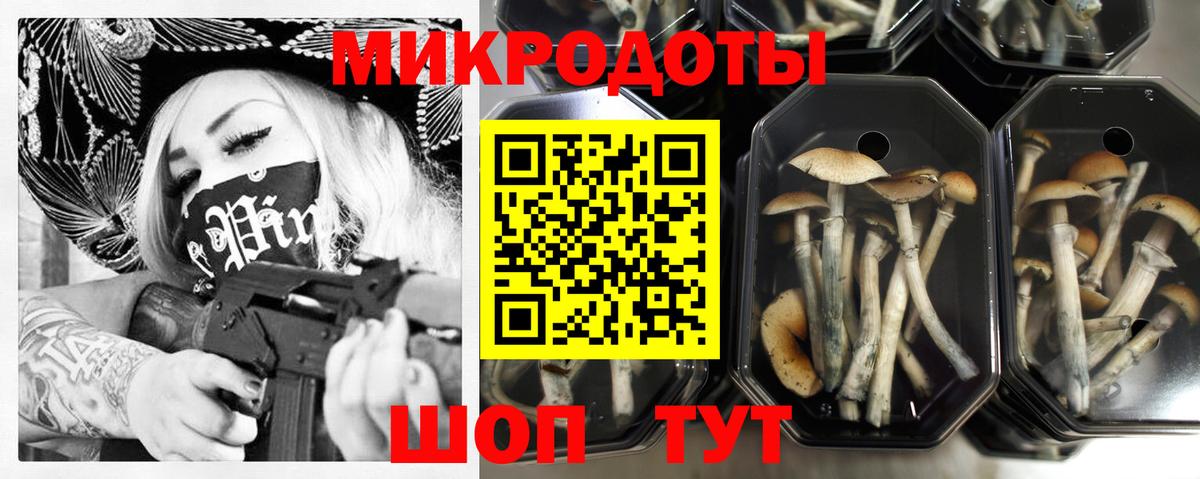 Псилоцибиновые грибы мицелий Истра